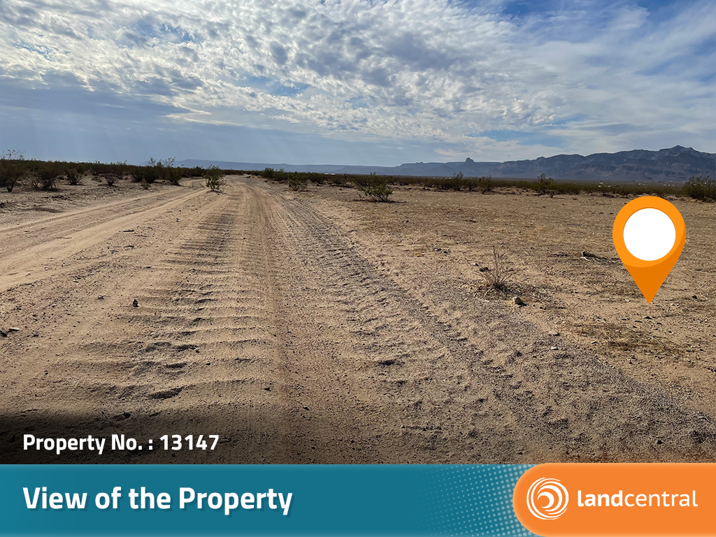 Close to Two and a Half Acres of Opportunities Await1