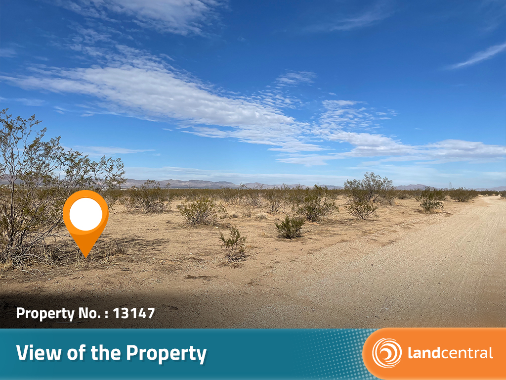 Close to Two and a Half Acres of Opportunities Await1