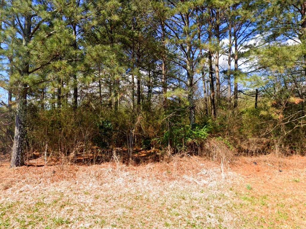 Two For One Half Acre Anniston Plot1