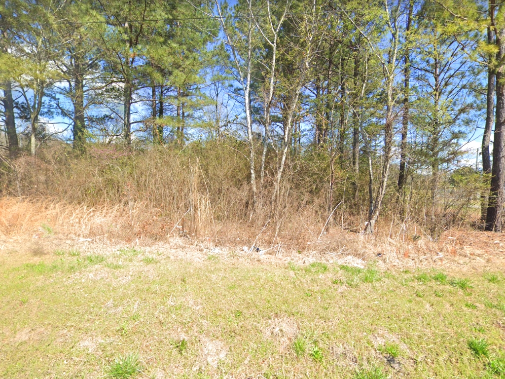 Two For One Half Acre Anniston Plot1