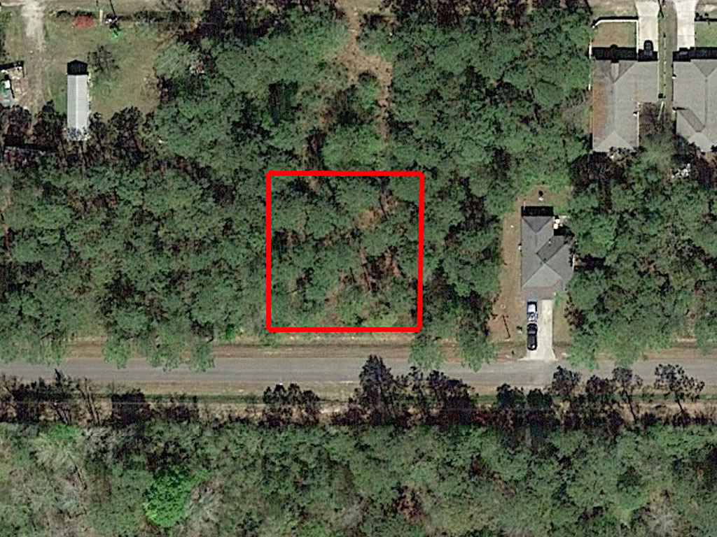 Rich Quarter Acre Near Gulf Coast1