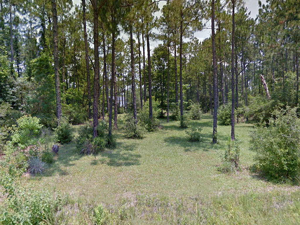 Rich Quarter Acre Near Gulf Coast1