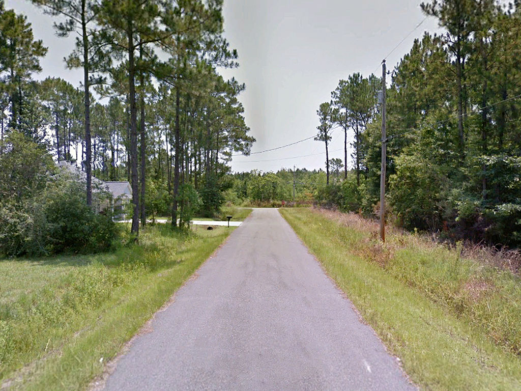 Rich Quarter Acre Near Gulf Coast1