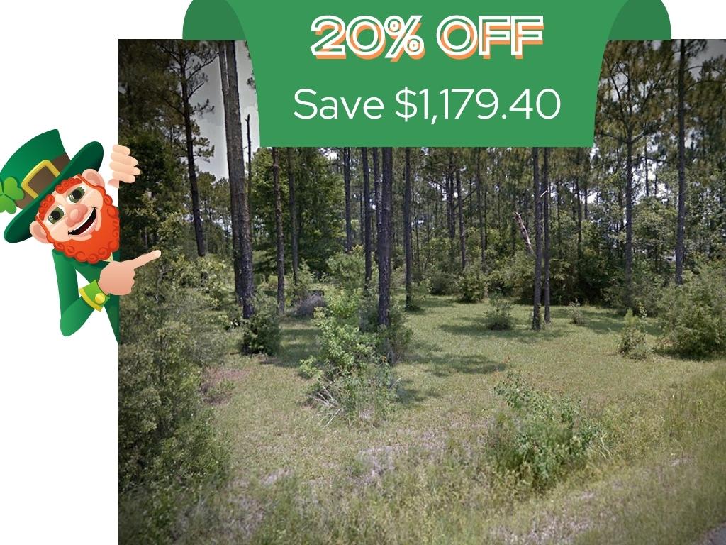 Rich Quarter Acre Near Gulf Coast1