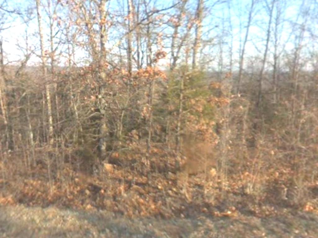 Beautifully wooded property minutes from a lake3