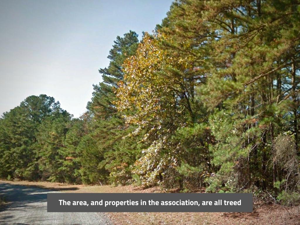 Welcome to the beautiful area of Fairfield Bay with amenities galore1