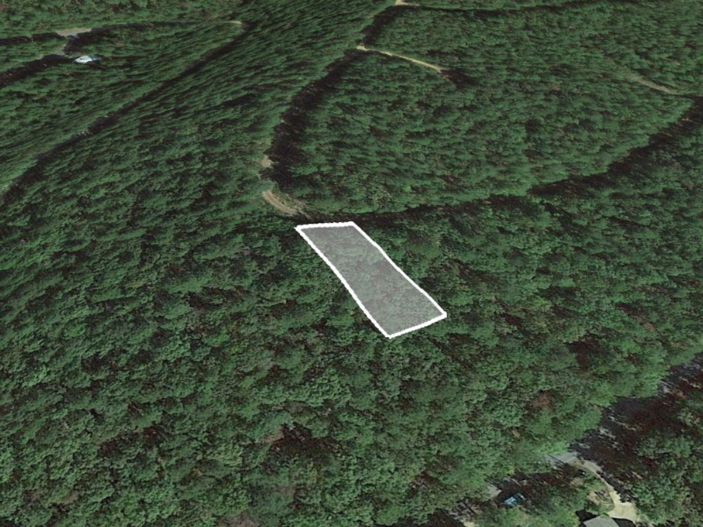 Over a quarter of an acre in the beautiful Fairfield Bay community1