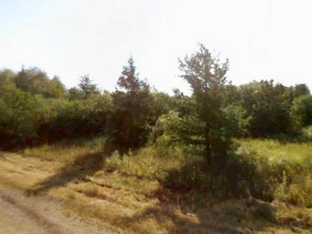 Beautiful neighborhood surrounded by lakes and fun1