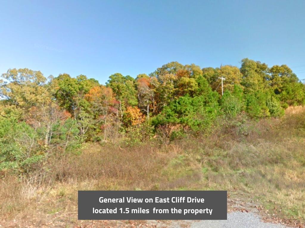 Wonderful property close to shops, restaurants, and lake1