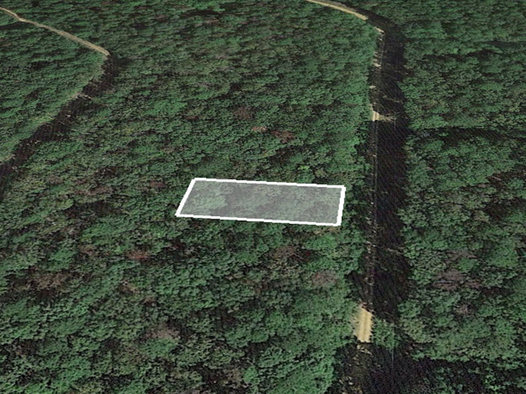 Rare Quarter Acre in Private Community1