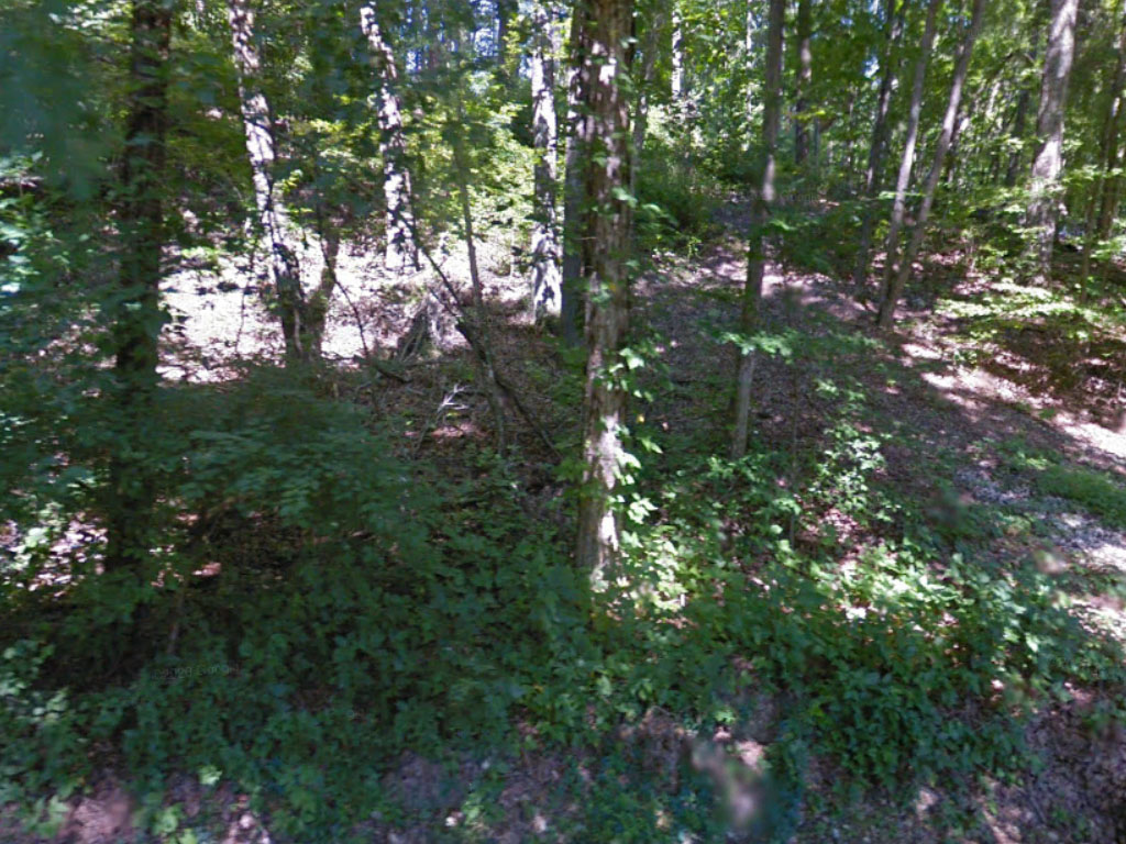 Over half an acre in a beautiful small town community1