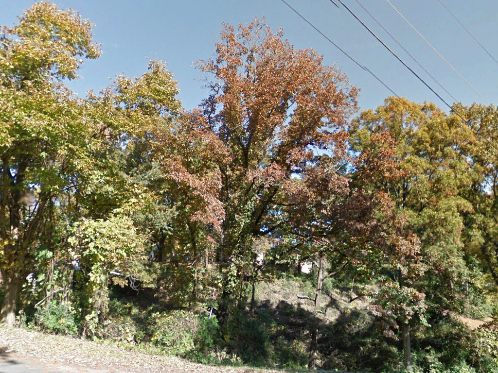 Over half an acre in a lovely neighborhood within a big city1