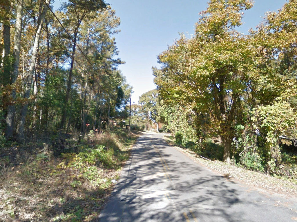 Over half an acre in a lovely neighborhood within a big city1