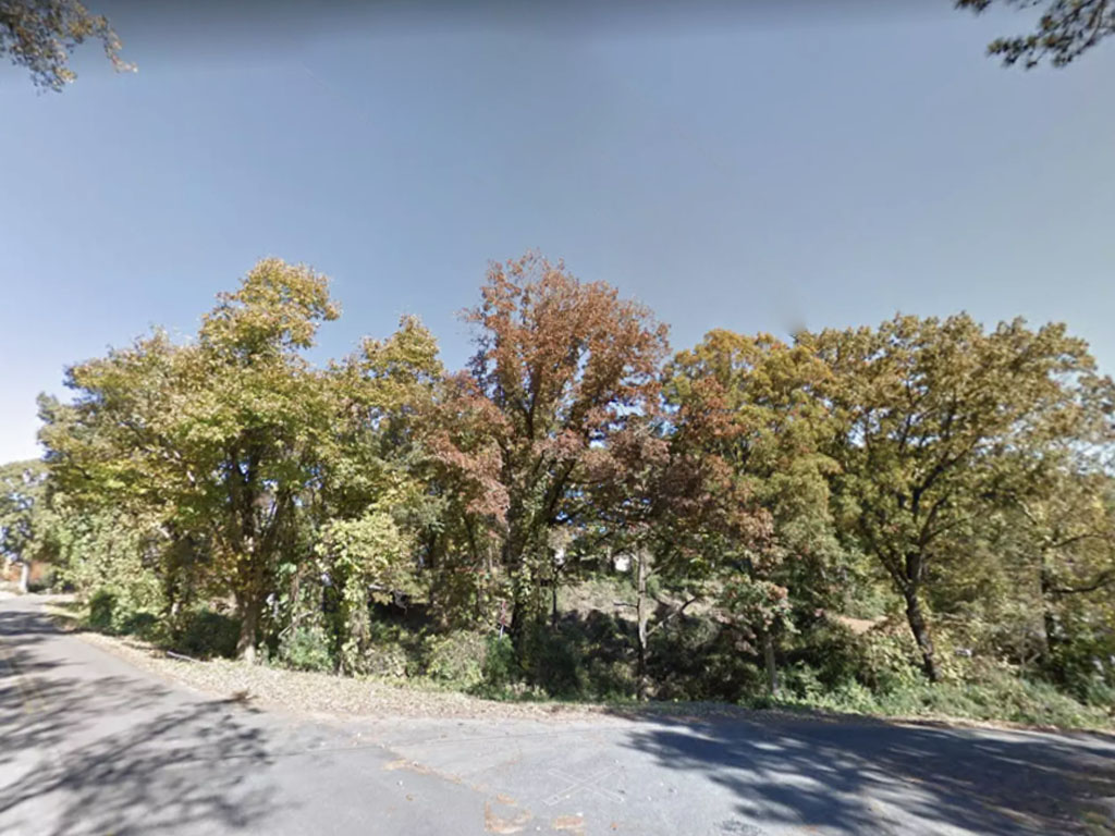 Over half an acre in a lovely neighborhood within a big city1