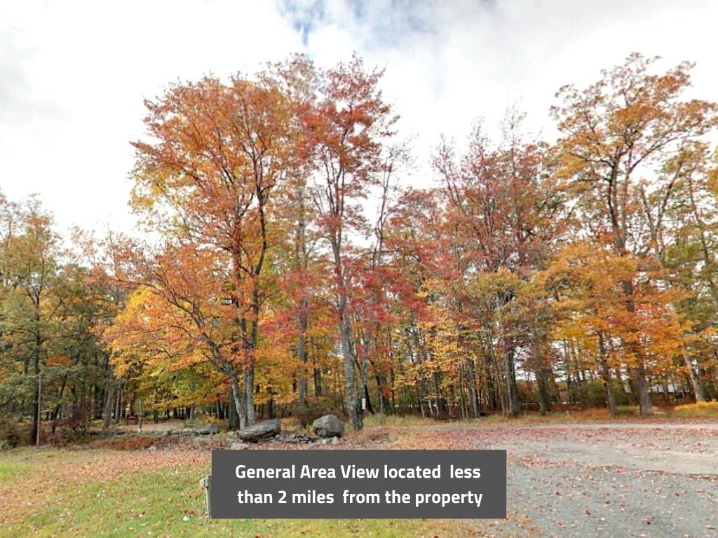 Over a quarter of an acre across the street from the lake1