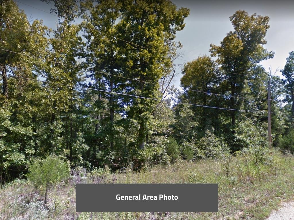 Beautiful unobstructed view of Lake Sherwood in the Ozarks1