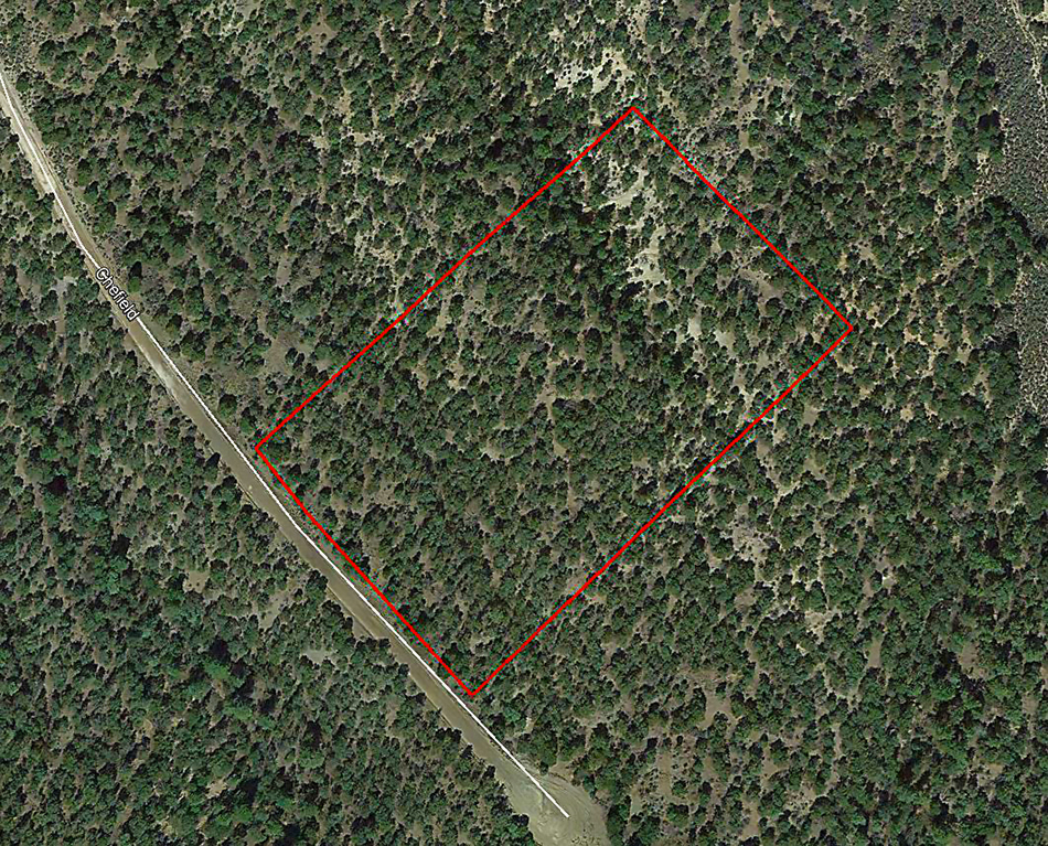 Enjoy Unspoiled Nature on Over Five Treed Acres1