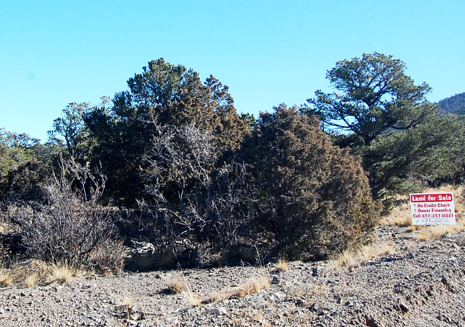 Enjoy Unspoiled Nature on Over Five Treed Acres1