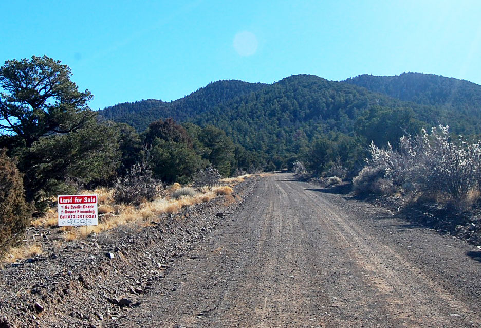 Enjoy Unspoiled Nature on Over Five Treed Acres1