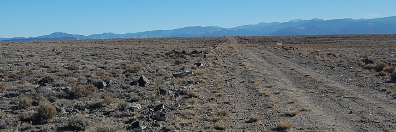 More than 5 acres of stunning high desert land in the beauty of CO