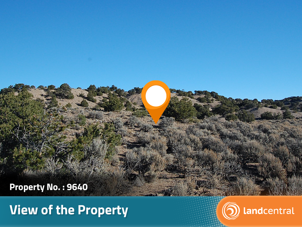 Treed Rolling Southern Colorado Acreage9