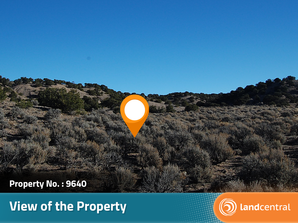 Treed Rolling Southern Colorado Acreage8