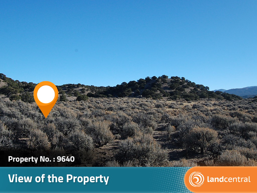 Treed Rolling Southern Colorado Acreage7