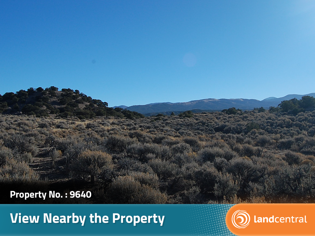 Treed Rolling Southern Colorado Acreage6