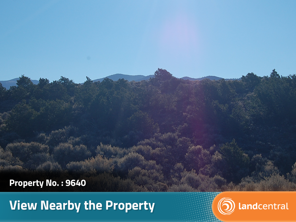 Treed Rolling Southern Colorado Acreage5