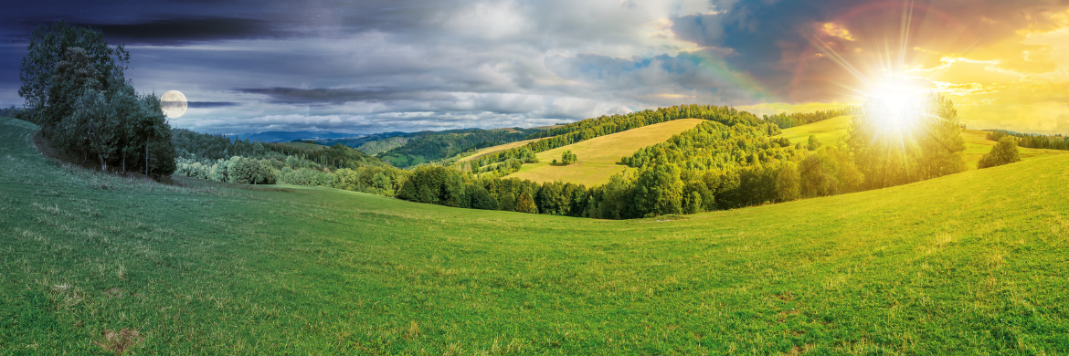 LandCentral: Land for Sale, Lots for Sale, Since 1997
